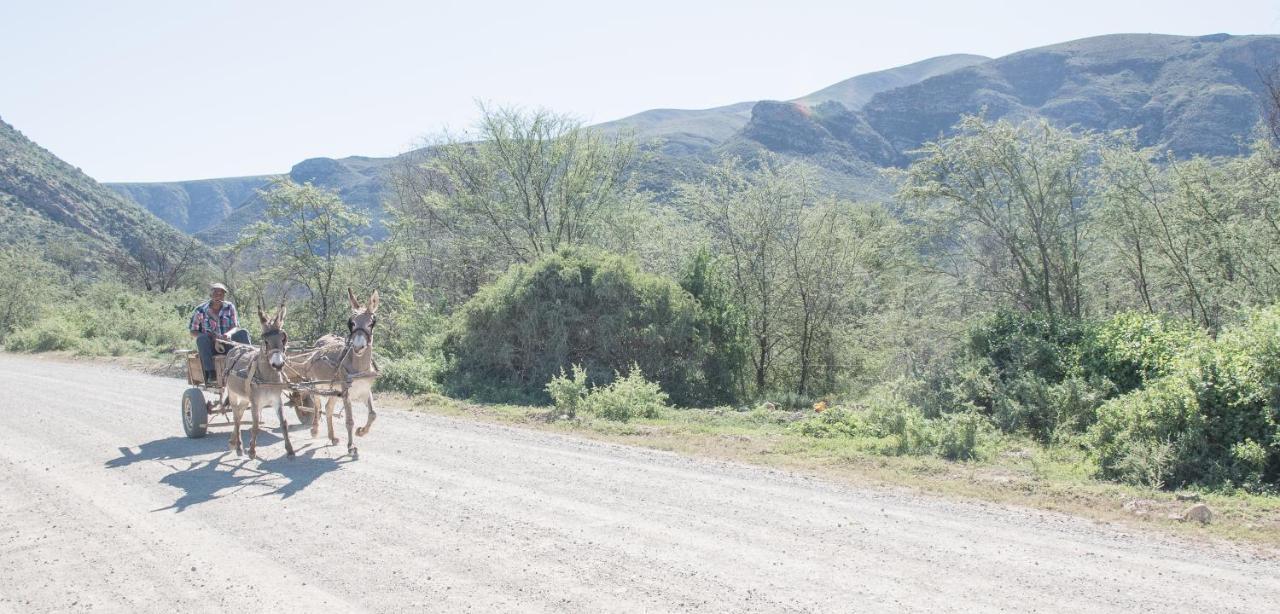 Sederkloof Lodge Studtis Ngoại thất bức ảnh