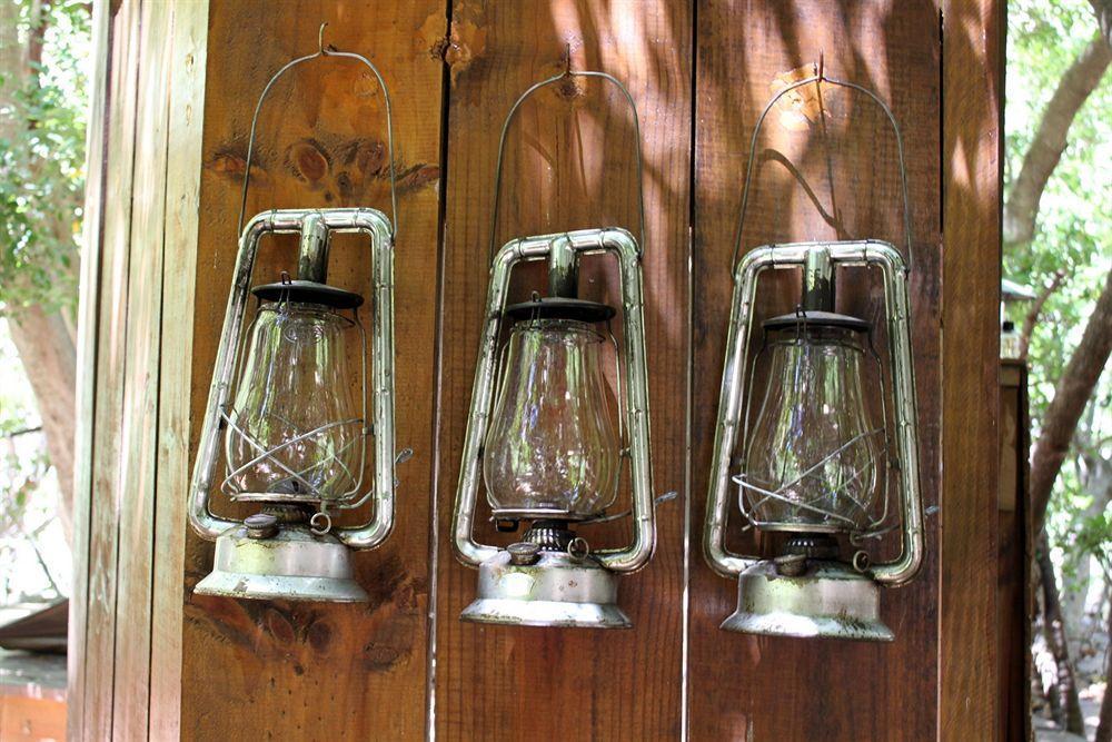 Sederkloof Lodge Studtis Ngoại thất bức ảnh