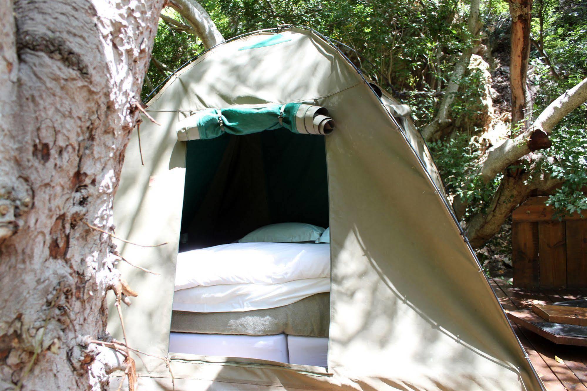 Sederkloof Lodge Studtis Ngoại thất bức ảnh