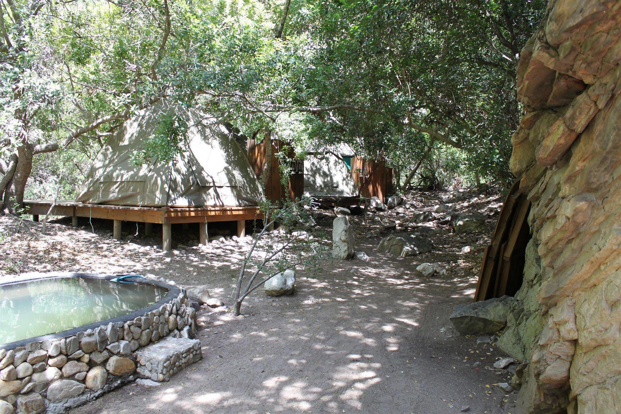 Sederkloof Lodge Studtis Ngoại thất bức ảnh